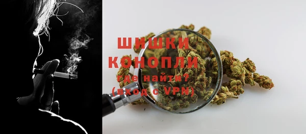 spice Арсеньев