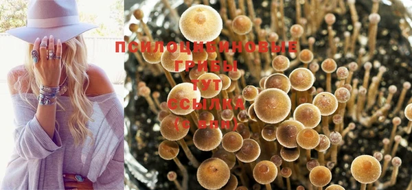 spice Арсеньев