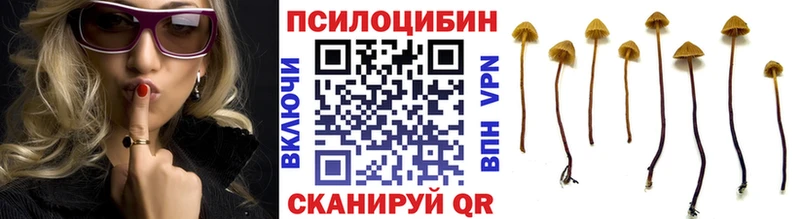 Галлюциногенные грибы MAGIC MUSHROOMS  МЕГА   Армянск  купить  